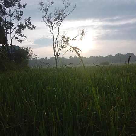 Sigiriya Paddy Field Hut Villa Rum bild