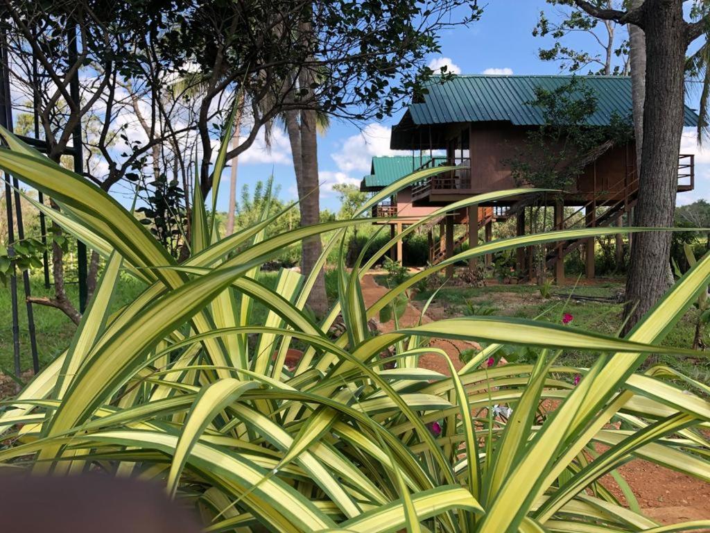 Sigiriya Paddy Field Hut Villa Exteriör bild