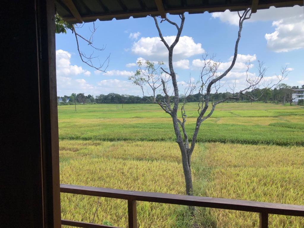 Sigiriya Paddy Field Hut Villa Exteriör bild