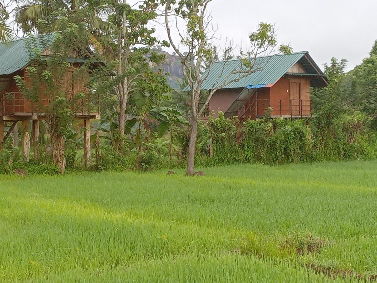 Sigiriya Paddy Field Hut Villa Exteriör bild