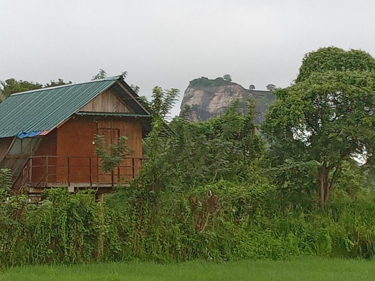 Sigiriya Paddy Field Hut Villa Exteriör bild