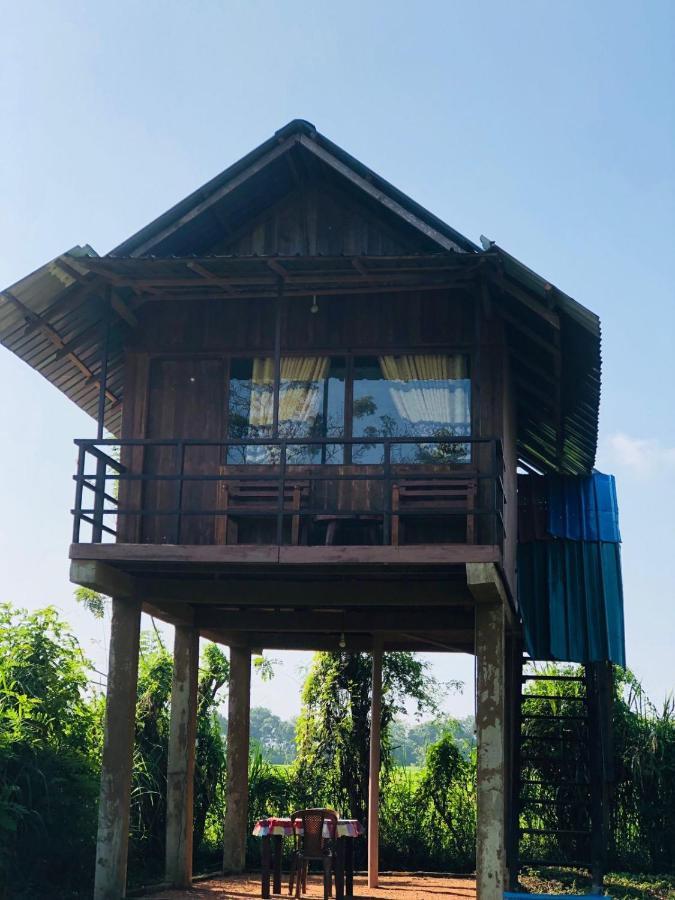Sigiriya Paddy Field Hut Villa Exteriör bild