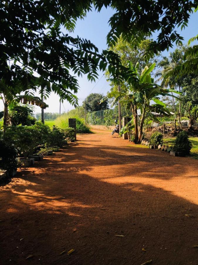 Sigiriya Paddy Field Hut Villa Exteriör bild