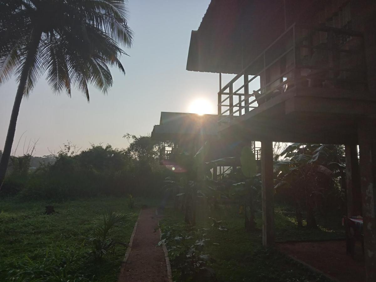Sigiriya Paddy Field Hut Villa Exteriör bild