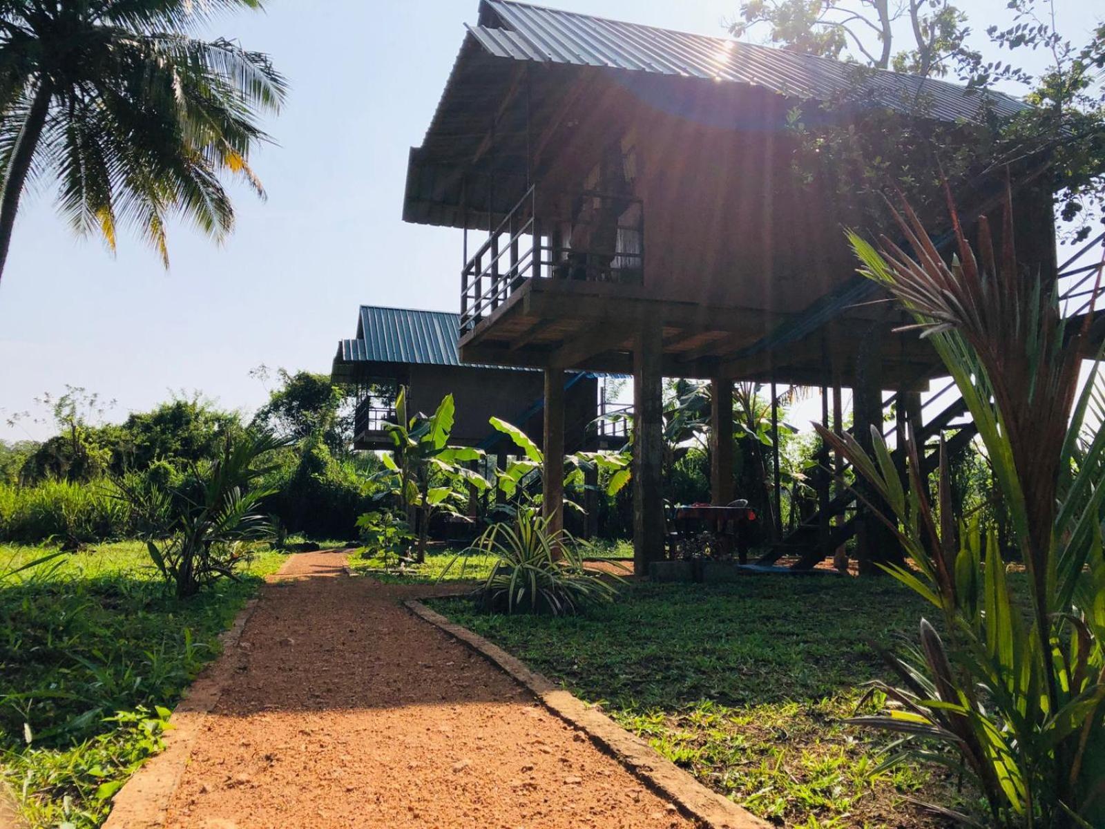 Sigiriya Paddy Field Hut Villa Rum bild