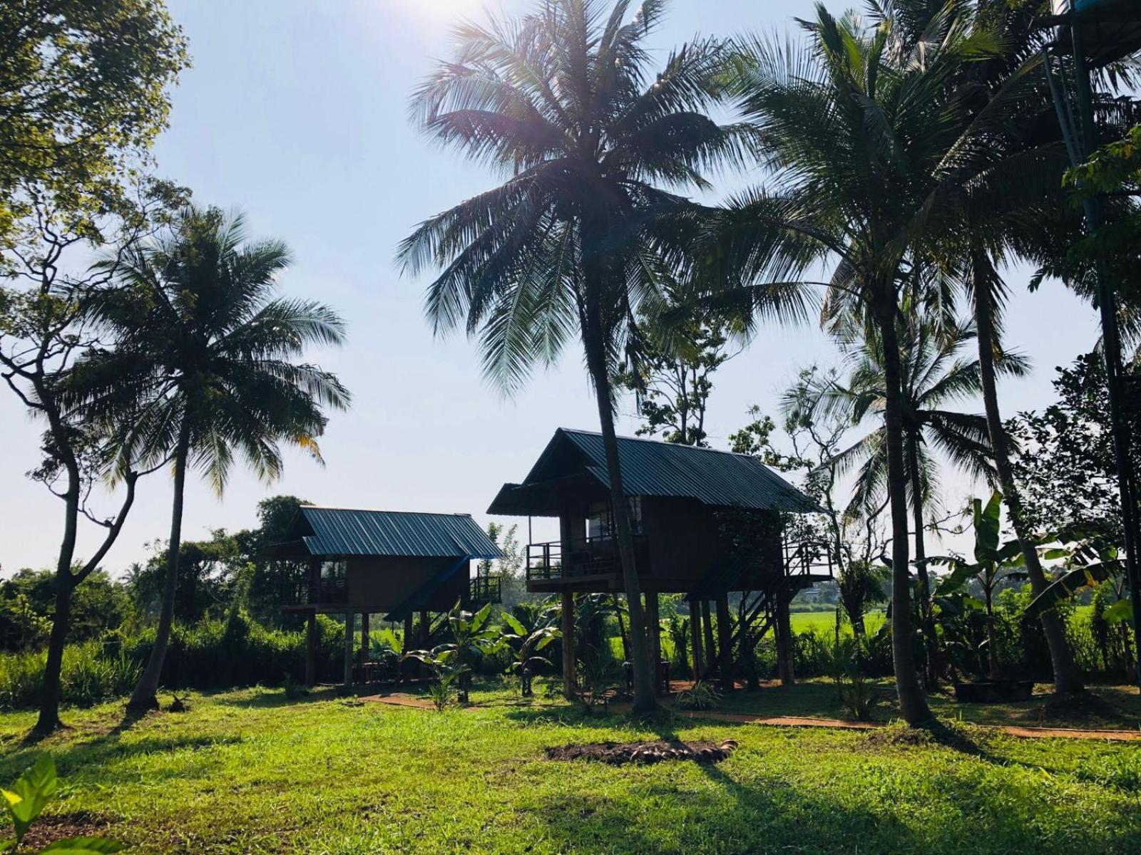 Sigiriya Paddy Field Hut Villa Rum bild